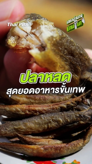 ปลาหลด สุดยอดอาหารขั้นเทพ