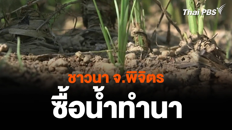 ชาวนา จ.พิจิตร ซื้อน้ำทำนา