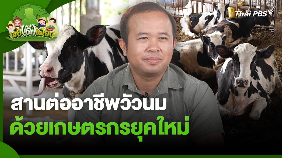 พอดีพอเพียง : สานต่ออาชีพวัวนม ด้วยเกษตรกรยุคใหม่