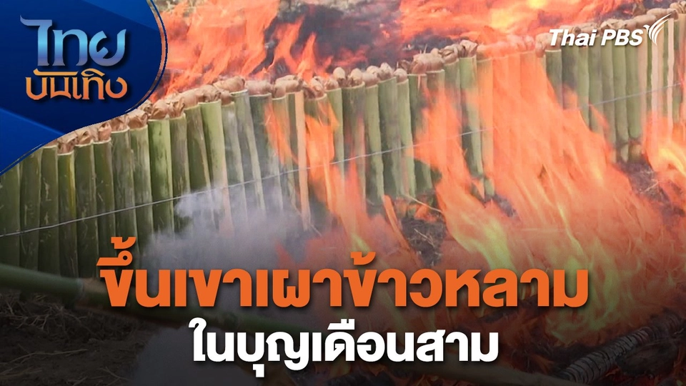 เรื่องนี้มีตำนาน : ขึ้นเขาเผาข้าวหลามในบุญเดือนสาม