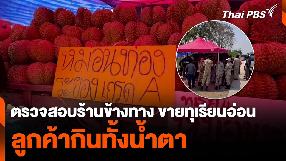 ตรวจสอบร้านข้างทาง ขายทุเรียนอ่อน ลูกค้ากินทั้งน้ำตา