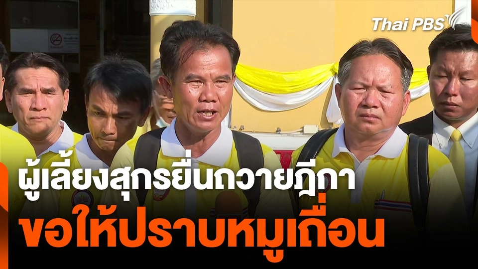 ผู้เลี้ยงสุกรรายย่อย ยื่นถวายฎีกา ขอให้เร่งปราบปัญหาหมูเถื่อน