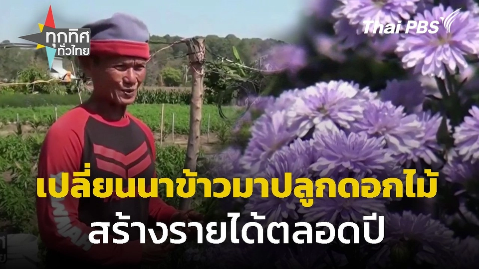 ปลูกดอกไม้ขาย มีรายได้ตลอดทั้งปี