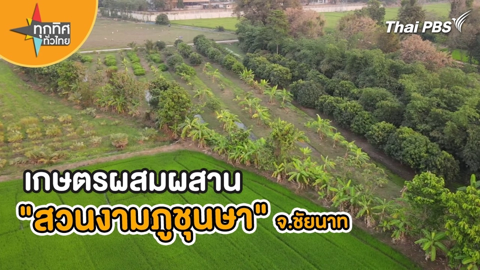 เกษตรผสมผสาน "สวนงามภูชุนษา" จ.ชัยนาท