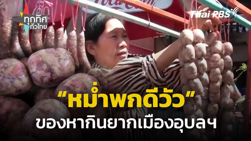 "หม่ำพกดีวัว" ของหากินยากเมืองอุบลฯ