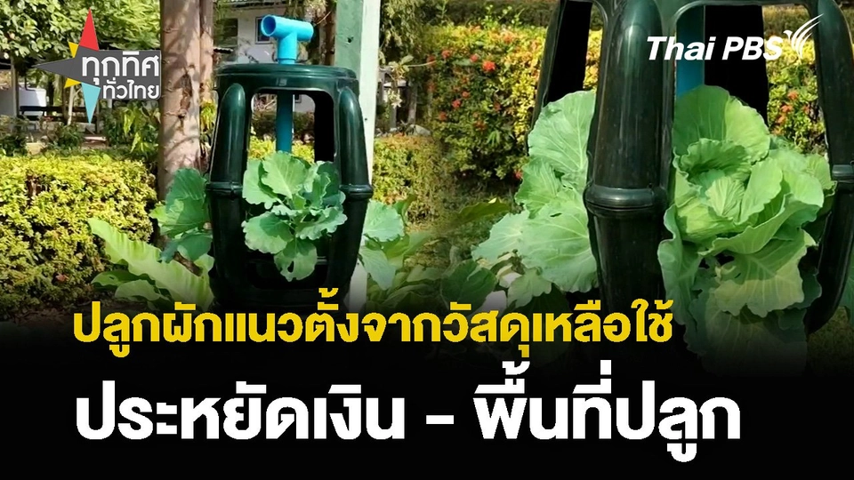 ปลูกผักแนวตั้งจากวัสดุเหลือใช้ ประหยัดเงิน - พื้นที่ปลูก