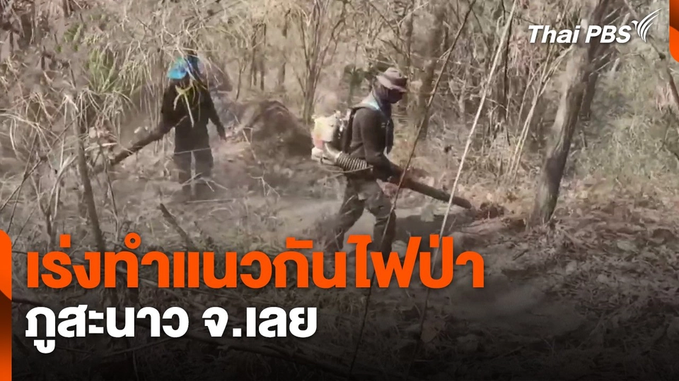 เร่งทำแนวกันไฟป่าภูสะนาว จ.เลย