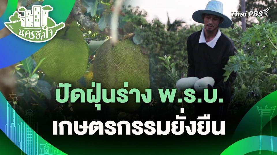 นครฮีลใจ : ปัดฝุ่นร่าง พ.ร.บ.เกษตรกรรมยั่งยืน