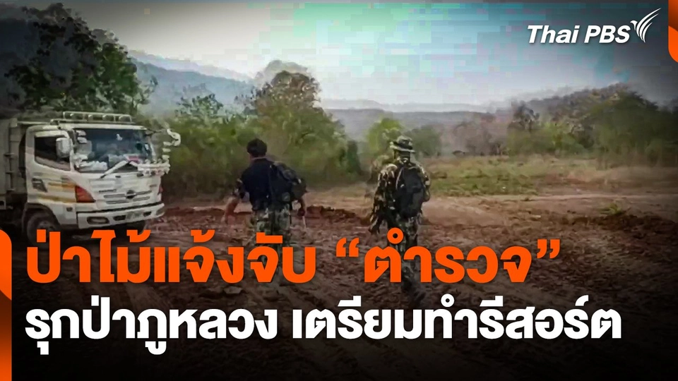 ป่าไม้แจ้งจับ "ตำรวจ" สั่งคนงานรุกป่าภูหลวง เตรียมทำรีสอร์ต
