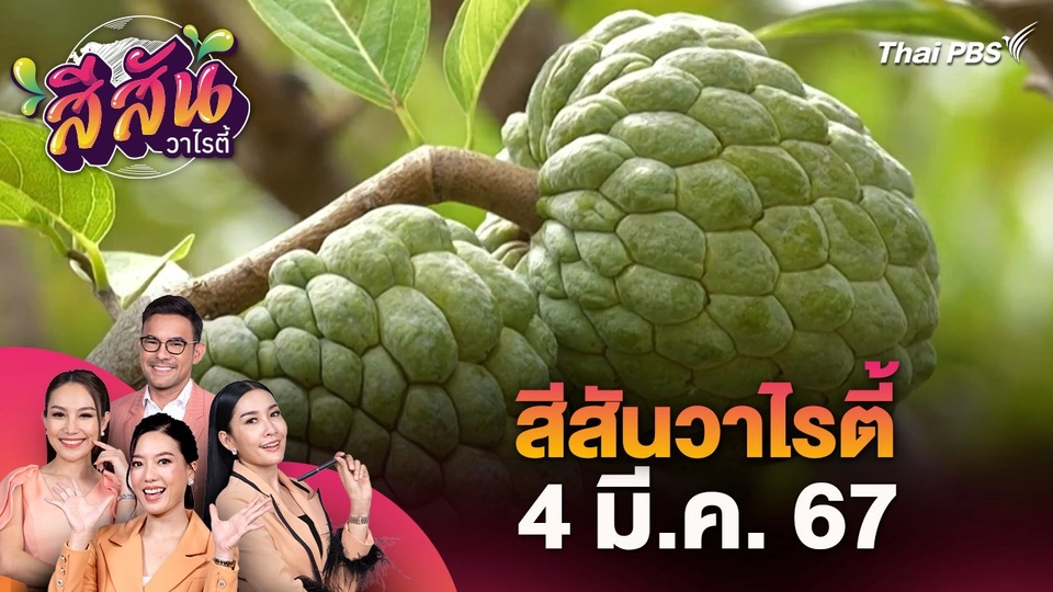 สีสันวาไรตี้ (4 มี.ค. 67)