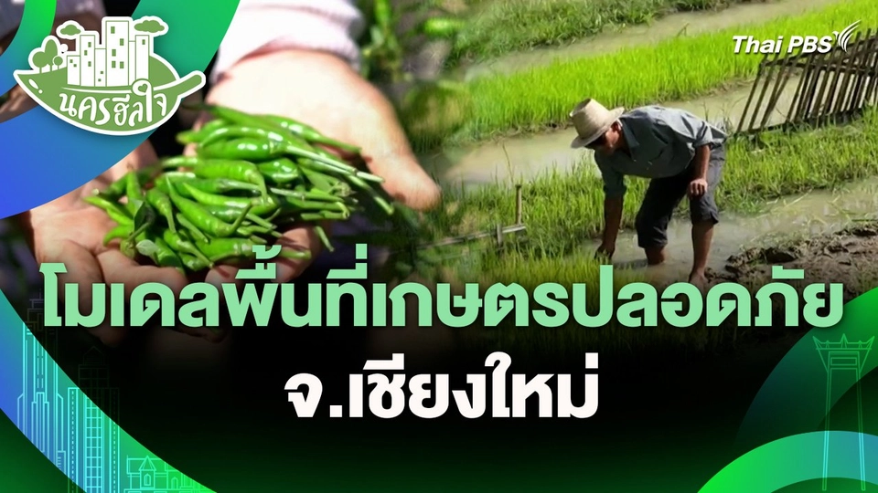 นครฮีลใจ : โมเดลพื้นที่เกษตรปลอดภัย จ.เชียงใหม่