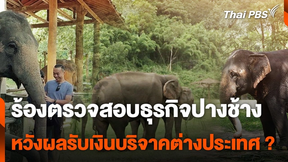​เรียกร้องขยายผลตรวจสอบ "ธุรกิจปางช้าง" ทั่วประเทศ