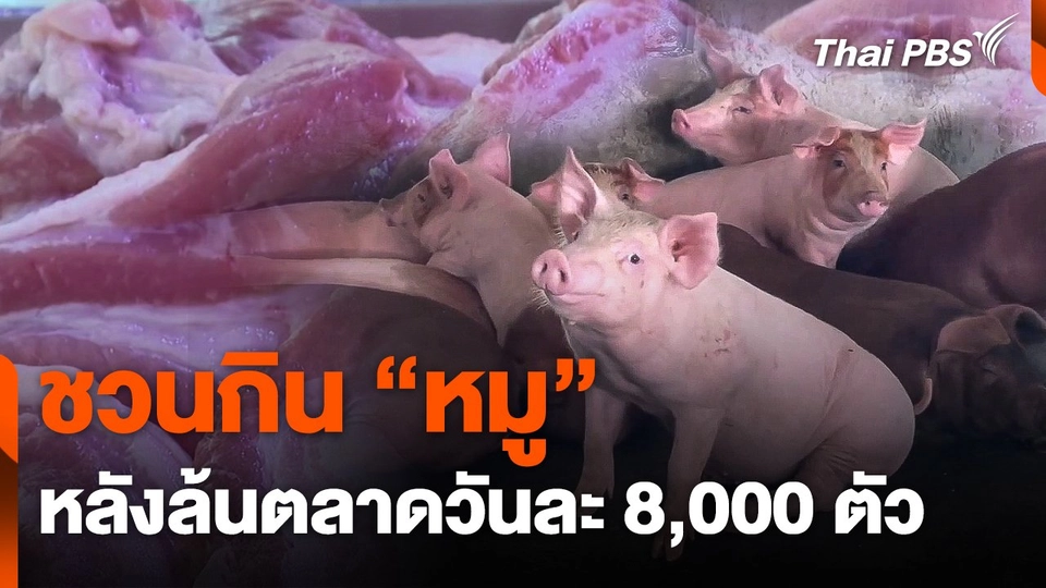 ชวนกิน "หมู" หลังล้นตลาดวันละ 8,000 ตัว