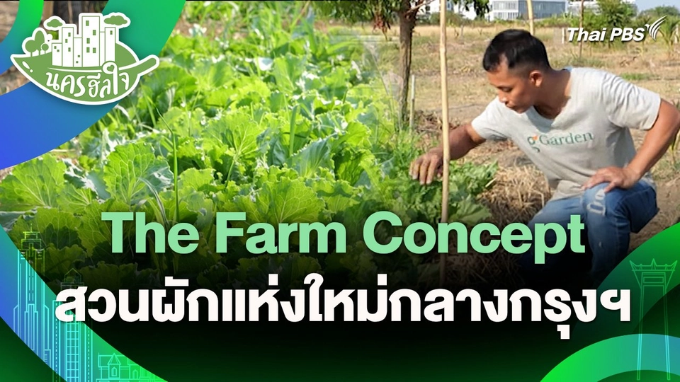 นครฮีลใจ : The Farm Concept สวนผักแห่งใหม่กลางกรุงฯ