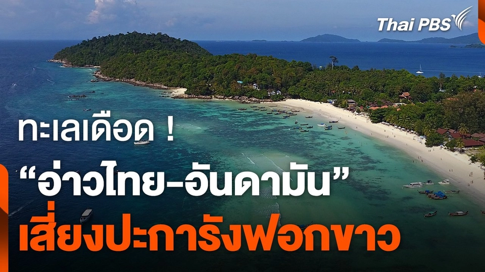 ทะเลเดือด ! "อ่าวไทย - อันดามัน" เสี่ยงปะการังฟอกขาว