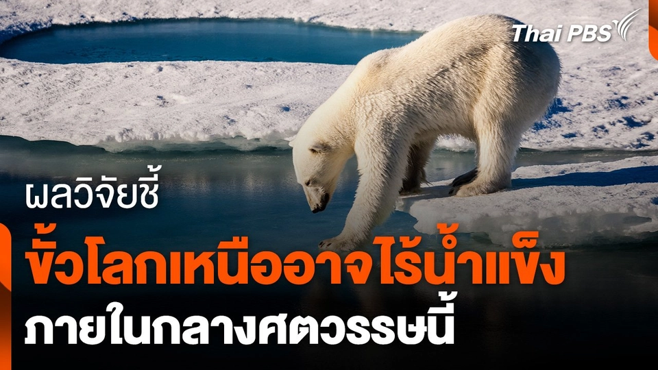 วิจัยชี้ขั้วโลกเหนืออาจไร้น้ำแข็งกลางศตวรรษนี้