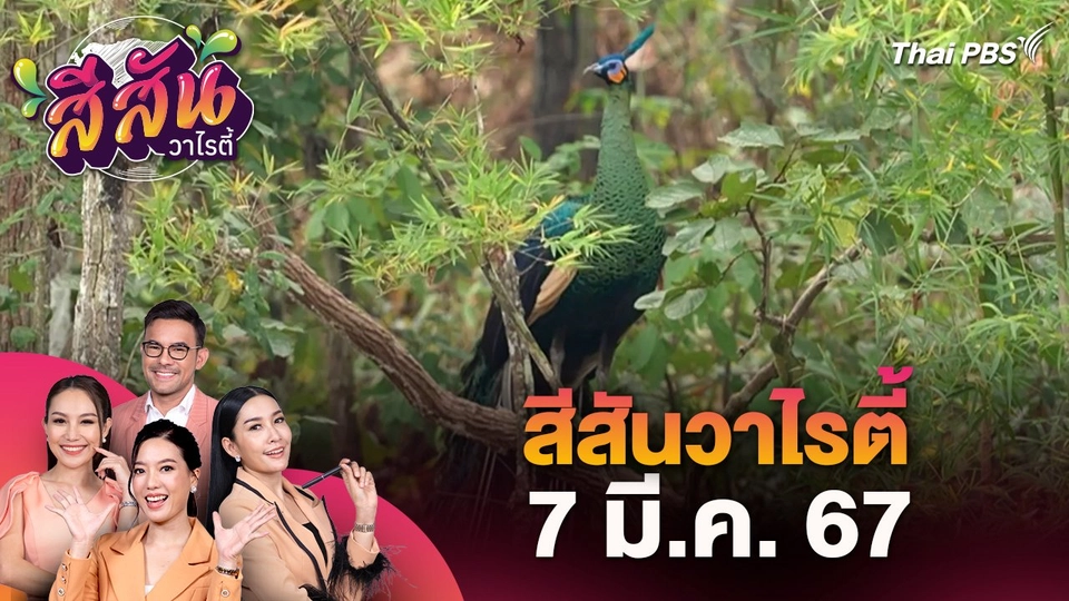 สีสันวาไรตี้ (7 มี.ค. 67)