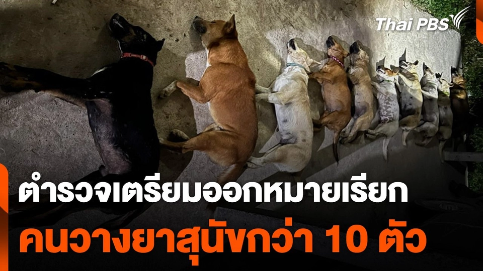 ตำรวจเตรียมออกหมายเรียกคนวางยาสุนัขกว่า 10 ตัว จ.ระยอง