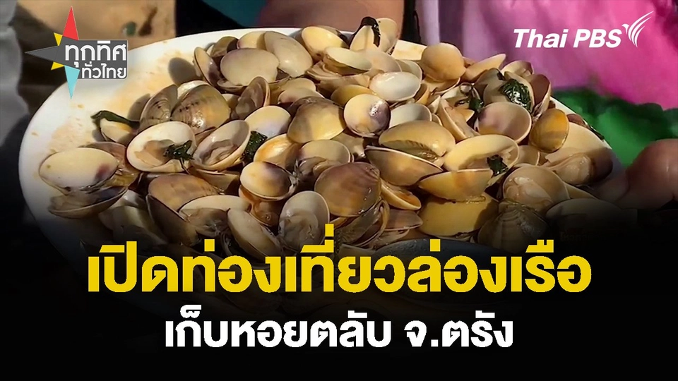 เปิดท่องเที่ยวล่องเรือ เก็บหอยตลับ จ.ตรัง