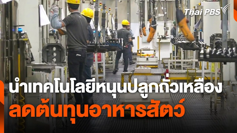 นำเทคโนโลยีหนุนปลูก "ถั่วเหลือง" ลดต้นทุนอาหารสัตว์