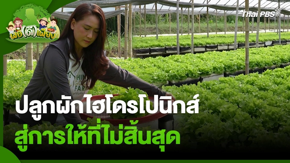 พอดีพอเพียง : ปลูกผักไฮโดรโปนิกส์ สู่การให้ที่ไม่สิ้นสุด
