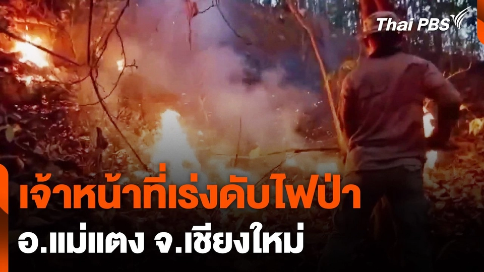 เร่งดับไฟป่า อ.แม่แตง จ.เชียงใหม่