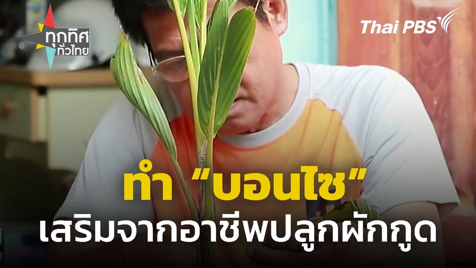 ทำ "บอนไซ" เสริมจากอาชีพปลูกผักกูด จ.กำแพงเพชร