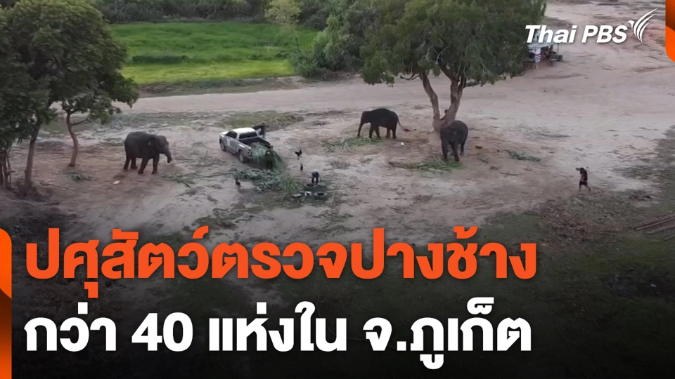 ปศุสัตว์ตรวจปางช้างกว่า 40 แห่งใน จ.ภูเก็ต | ชั่วโมงข่าว เสาร์-อาทิตย์ | 10 มี.ค. 67