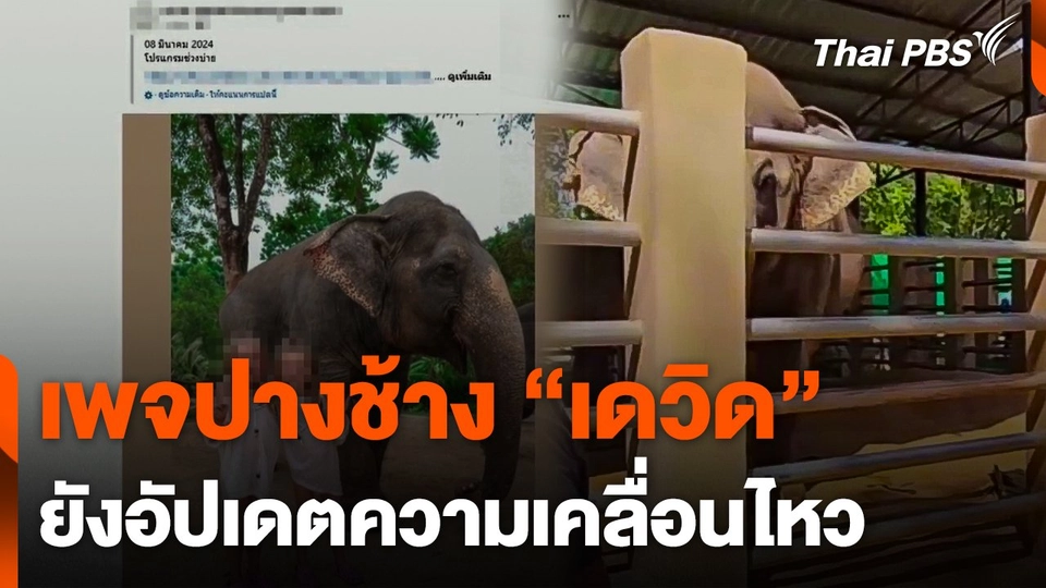 เพจปางช้าง "เดวิด" ยังอัปเดตความเคลื่อนไหว