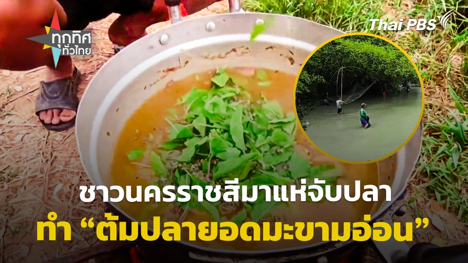 แห่จับปลาทำ "ต้มปลายอดมะขามอ่อน" จ.นครราชสีมา