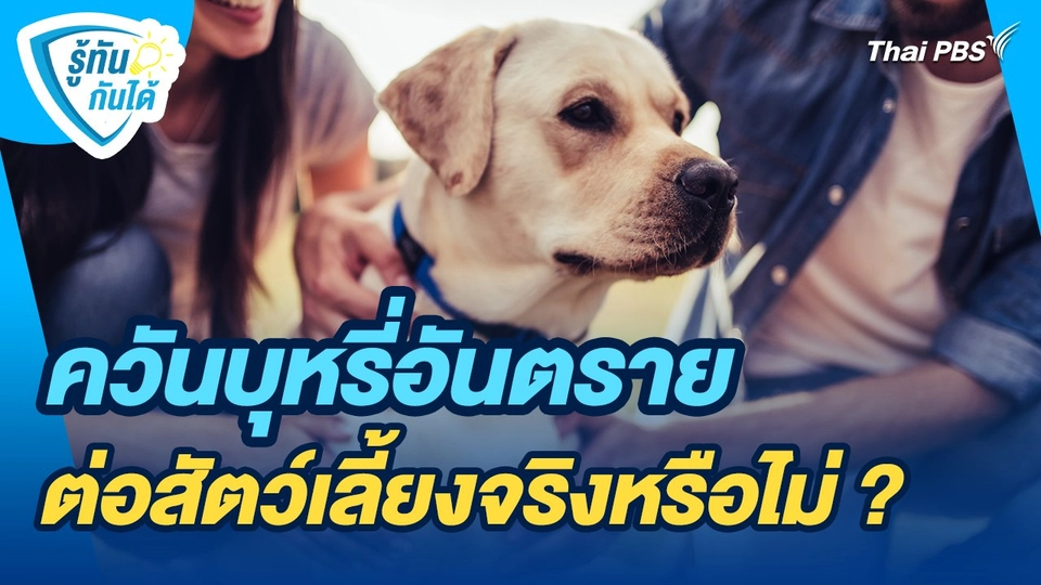 รู้ทันกันได้ : ควันบุหรี่อันตรายต่อสัตว์เลี้ยงจริงหรือไม่ ?