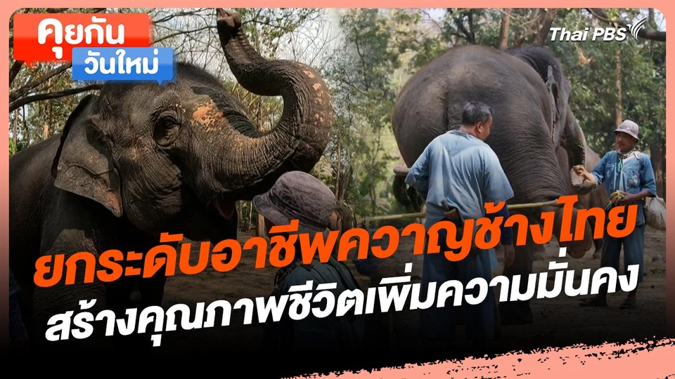 คุยกันวันใหม่ : ยกระดับอาชีพควาญช้างไทย สร้างคุณภาพชีวิตเพิ่มความมั่นคง