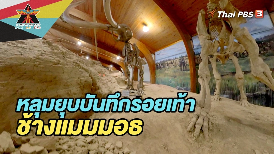 หลุมยุบบันทึกรอยเท้าช้างแมมมอธ