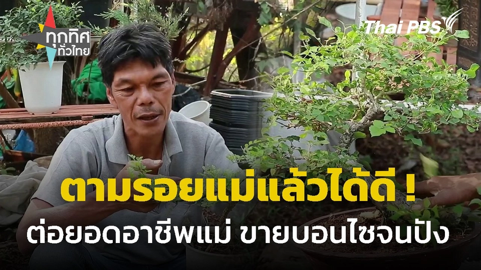 ต่อยอดอาชีพแม่ ทำบอนไซขาย จ.กำแพงเพชร