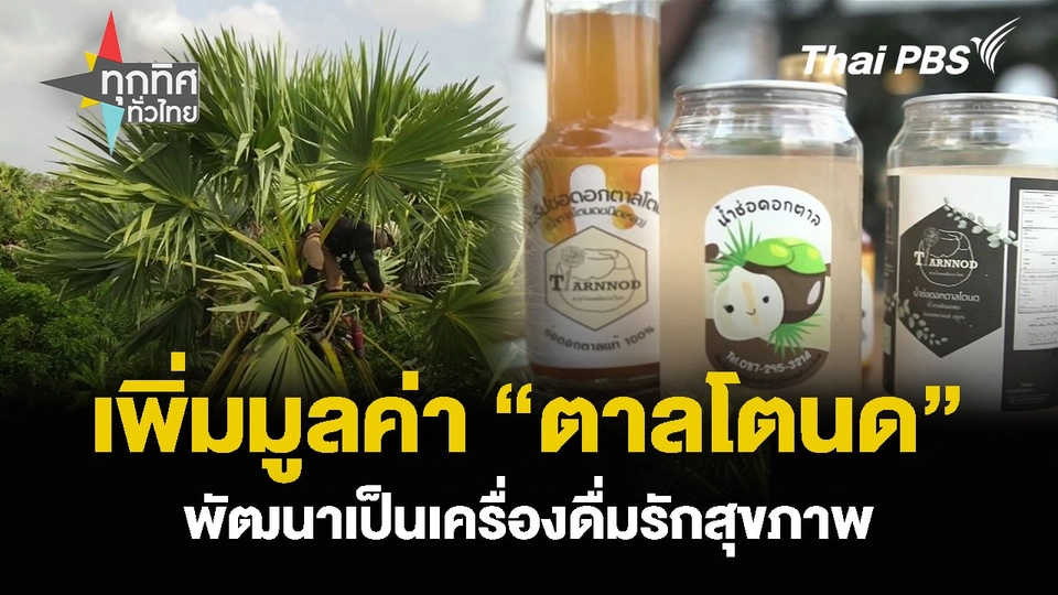 เพิ่มมูลค่า “ตาลโตนด” พัฒนาเป็นเครื่องดื่มรักสุขภาพ  ทุกทิศทั่วไทย.mp4