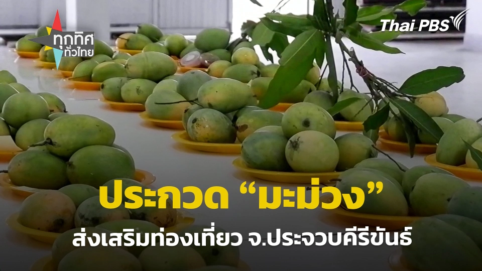 ประกวด "มะม่วง" ส่งเสริมท่องเที่ยว จ.ประจวบคีรีขันธ์