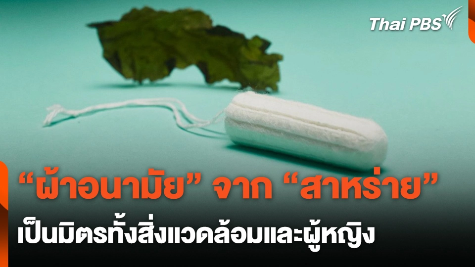 "ผ้าอนามัย" จาก "สาหร่าย" เป็นมิตรทั้งสิ่งแวดล้อมและผู้หญิง