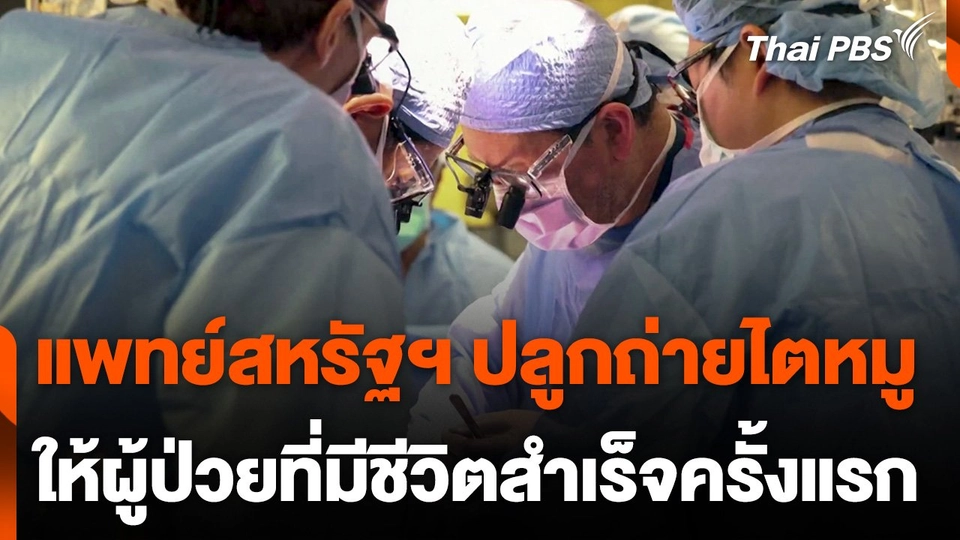 แพทย์สหรัฐฯ ปลูกถ่ายไตหมูให้ผู้ป่วยมีชีวิตสำเร็จครั้งแรก