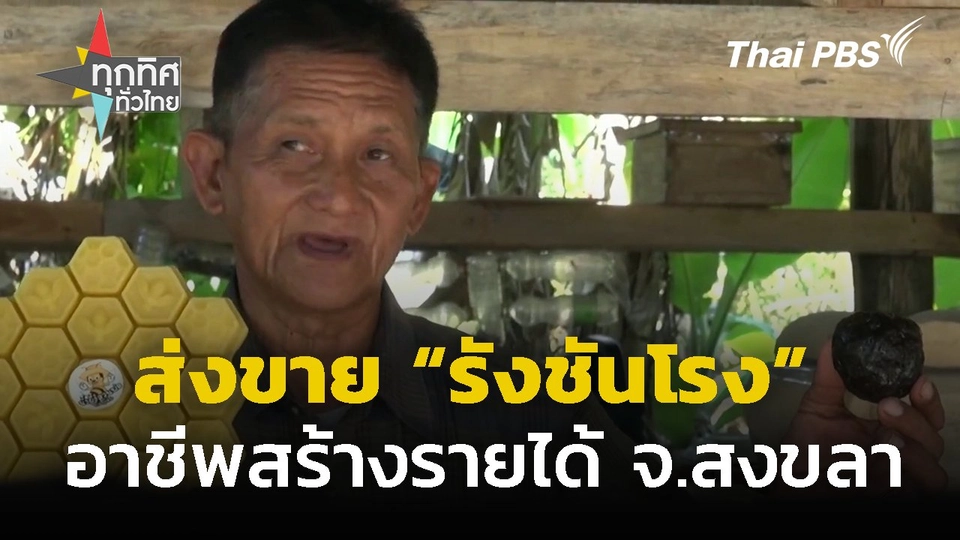 วัยเกษียณทำ "รังชันโรง" ส่งขาย จ.สงขลา