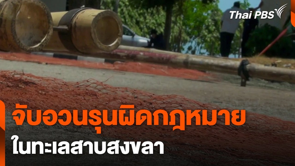 จับอวนรุนผิดกฎหมาย ในทะเลสาบสงขลา