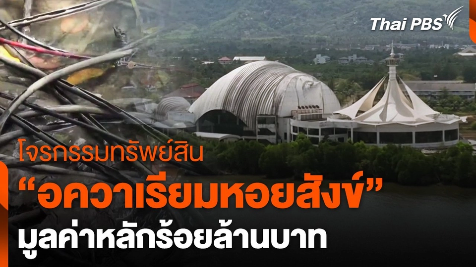 โจรกรรมทรัพย์สิน "อควาเรียมหอยสังข์" จ.สงขลา