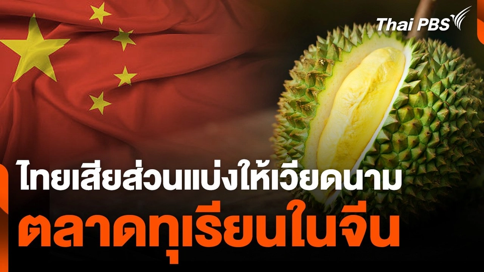 ไทยเสียส่วนแบ่งให้ "เวียดนาม" ตลาดทุเรียนในจีน จาก 90% เหลือ 65%