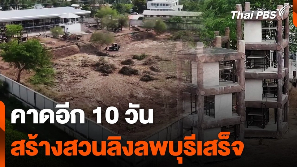 คาดอีก 10 วัน สร้างสวนลิงลพบุรีเสร็จ