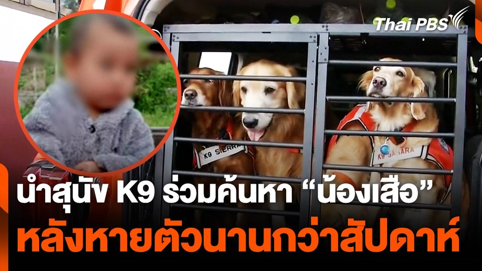 นำสุนัข K9 ร่วมค้นหา "น้องเสือ" หลังหายตัวนานกว่าสัปดาห์