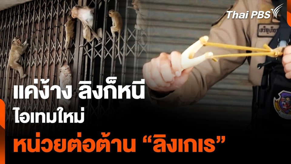 แค่ง้างลิงก็หนี ไอเทมใหม่ หน่วยต่อต้าน “ลิงเกเร”