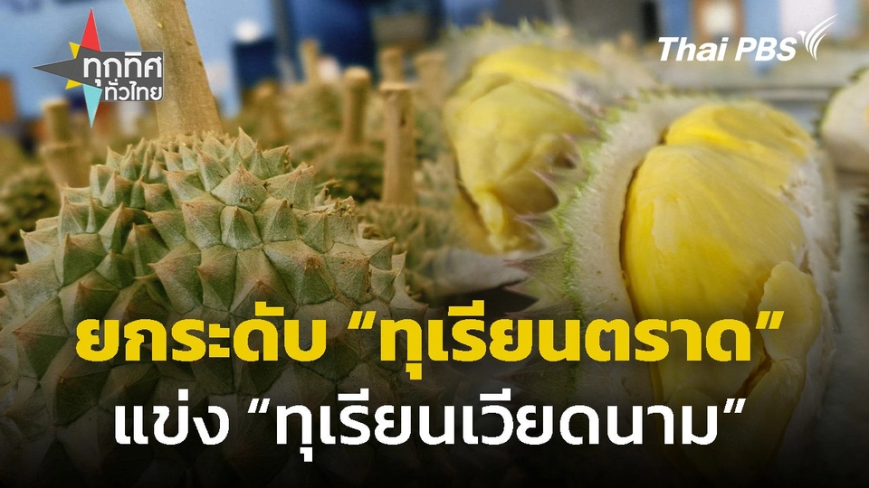 ยกระดับ "ทุเรียนตราด" แข่ง "ทุเรียนเวียดนาม"