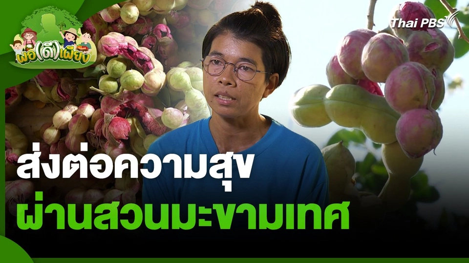 พอดีพอเพียง : ส่งต่อความสุข ผ่านสวนมะขามเทศ