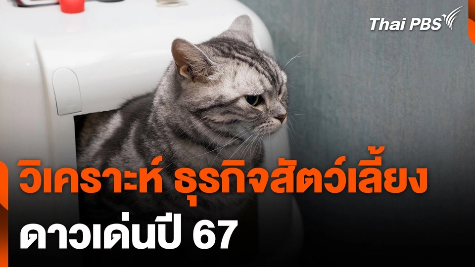 วิเคราะห์ "ธุรกิจสัตว์เลี้ยง" ดาวเด่นปี 67