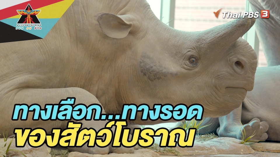 ทางเลือก…ทางรอด ของสัตว์โบราณ