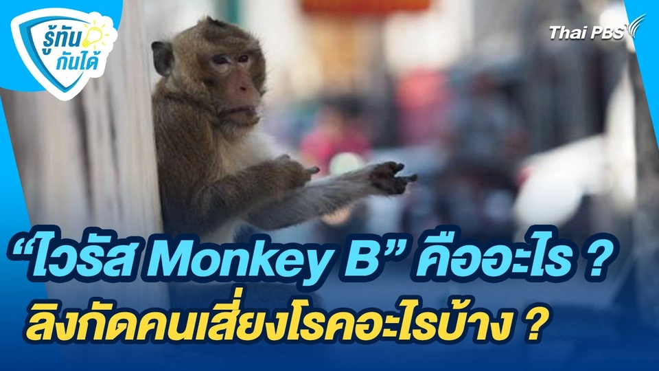 รู้ทันกันได้ : "ไวรัส Monkey B" คืออะไร ? ลิงกัดคนเสี่ยงโรคอะไรบ้าง ?